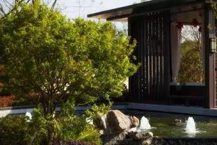 91丨九色丨欧美丨免费入口,探索多元文化盛宴